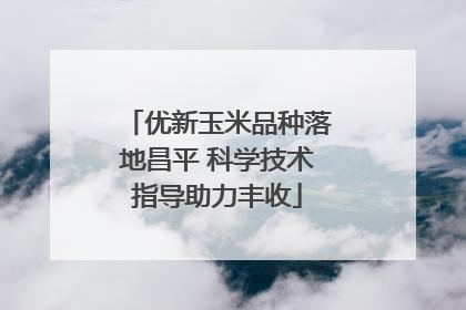 优新玉米品种落地昌平 科学技术指导助力丰收