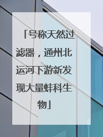 号称天然过滤器，通州北运河下游新发现大量蚌科生物