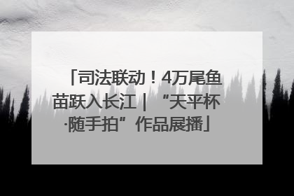 司法联动！4万尾鱼苗跃入长江｜“天平杯·随手拍”作品展播
