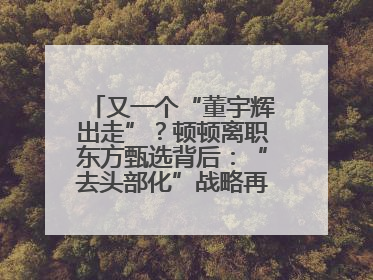 又一个“董宇辉出走”？顿顿离职东方甄选背后：“去头部化”战略再遭考验
