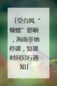 受台风“蝴蝶”影响，海南多地停课，复课时间另行通知