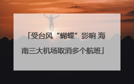 受台风“蝴蝶”影响 海南三大机场取消多个航班
