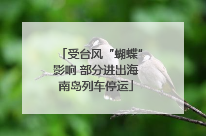 受台风“蝴蝶”影响 部分进出海南岛列车停运