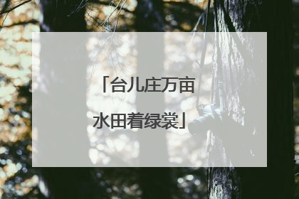 台儿庄万亩水田着绿裳