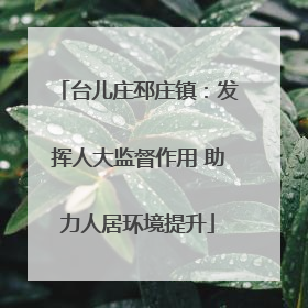 台儿庄邳庄镇：发挥人大监督作用 助力人居环境提升