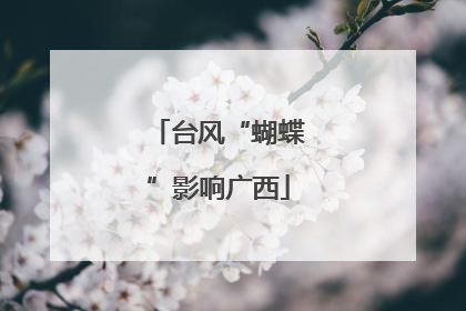 台风“蝴蝶”影响广西