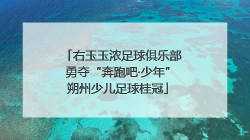 右玉玉浓足球俱乐部勇夺“奔跑吧·少年”朔州少儿足球桂冠