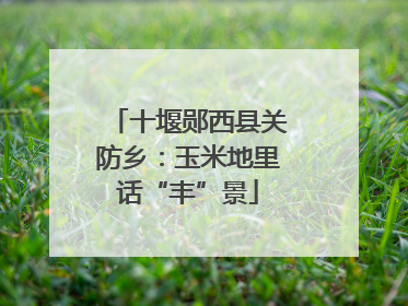 十堰郧西县关防乡：玉米地里话“丰”景
