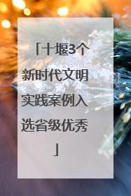 十堰3个新时代文明实践案例入选省级优秀
