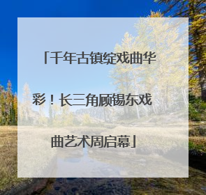 千年古镇绽戏曲华彩！长三角顾锡东戏曲艺术周启幕