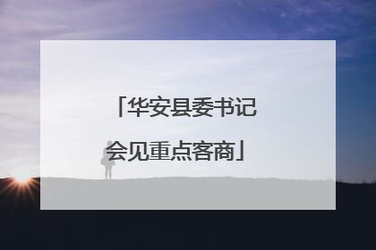 华安县委书记会见重点客商