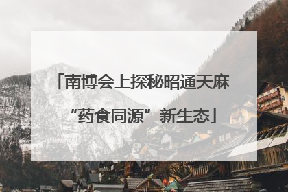 南博会上探秘昭通天麻“药食同源”新生态