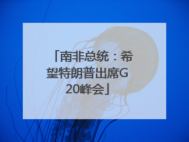 南非总统：希望特朗普出席G20峰会