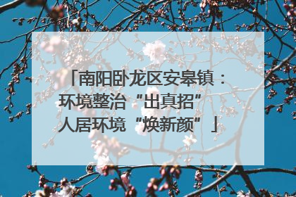 南阳卧龙区安皋镇：环境整治“出真招” 人居环境“焕新颜”