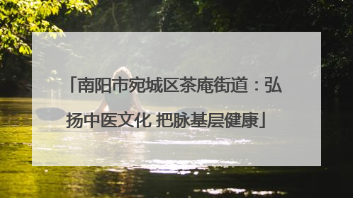 南阳市宛城区茶庵街道：弘扬中医文化 把脉基层健康