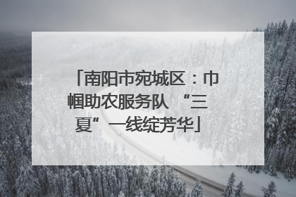 南阳市宛城区：巾帼助农服务队 “三夏”一线绽芳华