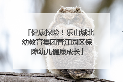 健康探险！乐山城北幼教育集团青江园区保障幼儿健康成长