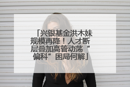 兴银基金洪木妹规模再降！人才断层叠加高管动荡“偏科”困局何解