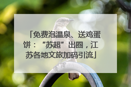 免费泡温泉、送鸡蛋饼：“苏超”出圈，江苏各地文旅加码引流