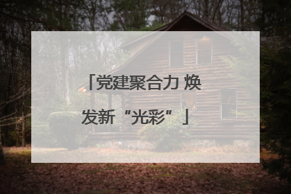党建聚合力 焕发新“光彩”