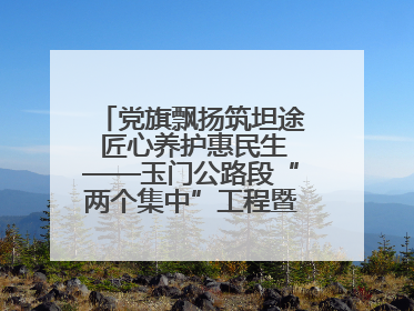 党旗飘扬筑坦途 匠心养护惠民生——玉门公路段“两个集中”工程暨示范桥创建项目圆满收官