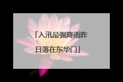 入汛最强降雨昨日落在东华门