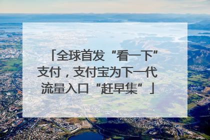 全球首发“看一下”支付，支付宝为下一代流量入口“赶早集”