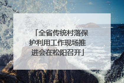 全省传统村落保护利用工作现场推进会在松阳召开