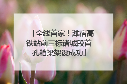 全线首家！潍宿高铁站前三标诸城段首孔箱梁架设成功