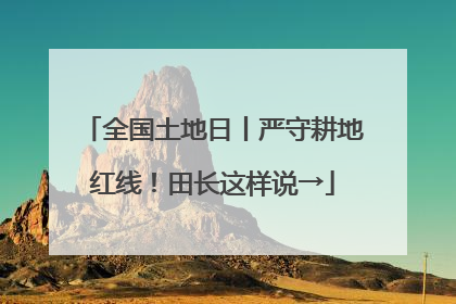 全国土地日丨严守耕地红线！田长这样说→