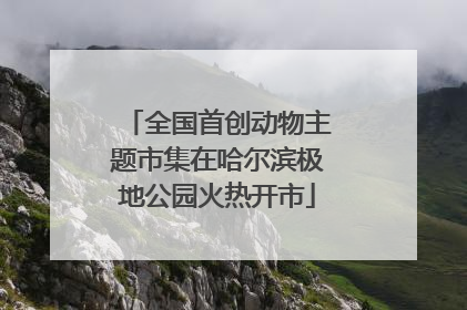 全国首创动物主题市集在哈尔滨极地公园火热开市