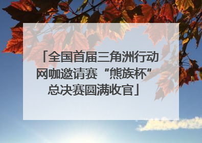 全国首届三角洲行动网咖邀请赛“熊族杯”总决赛圆满收官