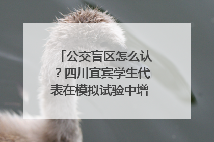 公交盲区怎么认？四川宜宾学生代表在模拟试验中增强乘车安全意识