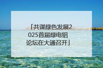 共谋绿色发展2025首届绿电铝论坛在大通召开