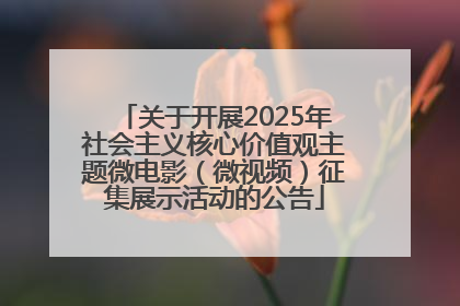 关于开展2025年社会主义核心价值观主题微电影（微视频）征集展示活动的公告