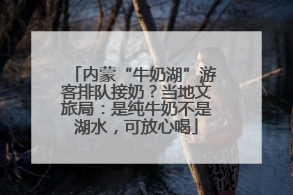内蒙“牛奶湖”游客排队接奶？当地文旅局：是纯牛奶不是湖水，可放心喝