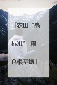 农田“高标准” 粮仓根基稳