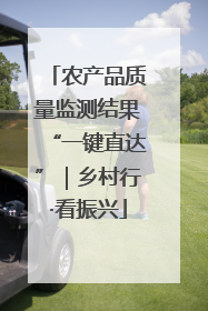 农产品质量监测结果“一键直达”｜乡村行·看振兴