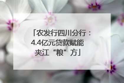 农发行四川分行：4.4亿元贷款赋能夹江“粮”方