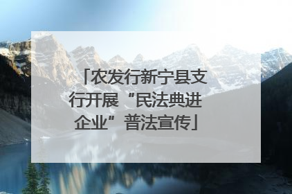 农发行新宁县支行开展“民法典进企业”普法宣传
