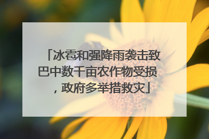 冰雹和强降雨袭击致巴中数千亩农作物受损，政府多举措救灾
