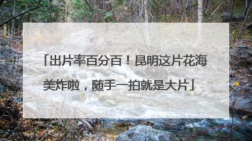 出片率百分百！昆明这片花海美炸啦，随手一拍就是大片