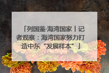 列国鉴·海湾国家丨记者观察：海湾国家努力打造中东“发展样本”