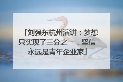 刘强东杭州演讲：梦想只实现了三分之一，坚信永远是青年企业家
