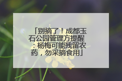 别摘了！成都玉石公园管理方提醒：杨梅可能残留农药，勿采摘食用