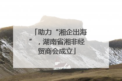 助力“湘企出海”，湖南省湘非经贸商会成立