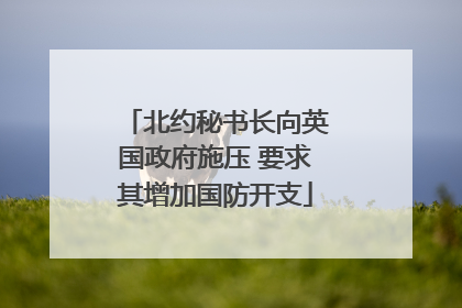北约秘书长向英国政府施压 要求其增加国防开支