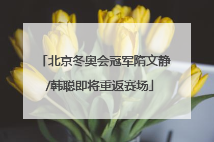 北京冬奥会冠军隋文静/韩聪即将重返赛场