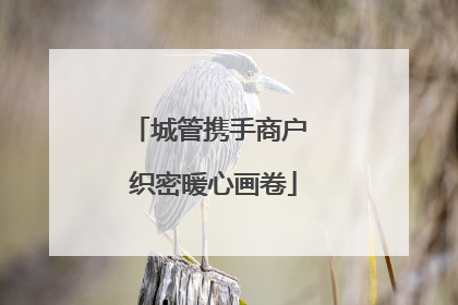 城管携手商户 织密暖心画卷