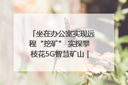 坐在办公室实现远程“挖矿” 实探攀枝花5G智慧矿山｜网络名人四川行
